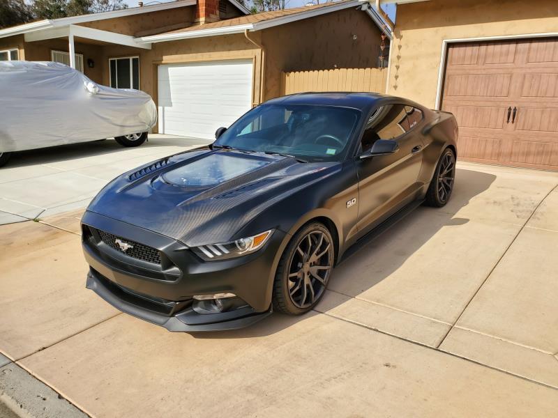 CMST Carbon Fiber Glass Transparent Hood for Ford Mustang S550.1 2015- 2017
