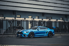 Robot "Cavalier" Widebody Wheel Arches & Side Skirts For Mustang S550.1 2015-2017 Carbon Fiber