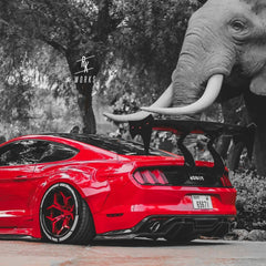Robot "STORM" GT Wing For Ford Mustang S550.1 S550.2 GT EcoBoost V6 Carbon Fiber or FRP