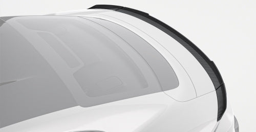 Paktechz Porsche Taycan (2019-2024) Carbon Fiber Body Kit - Rear Spoiler
