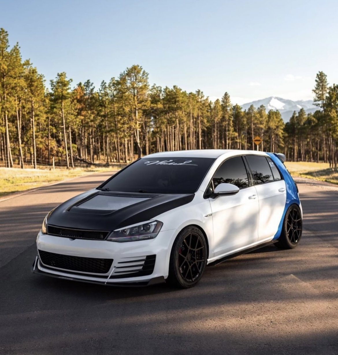 CMST Carbon Fiber Front Grill for Volkswagen GTI MK7 MK7.5