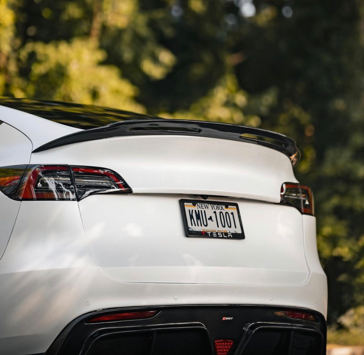 CMST Carbon Fiber Rear Spoiler Ver.1 for Tesla Model Y