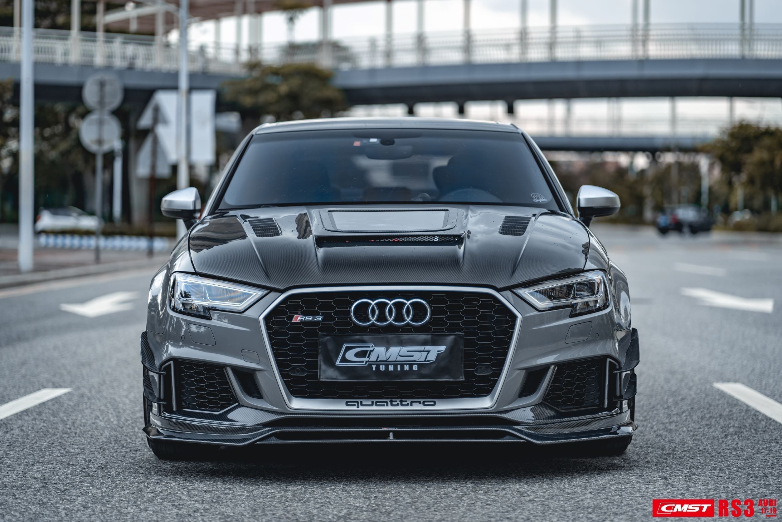 CMST Carbon Fiber Front Bumper Canards for Audi RS3 2018-2020