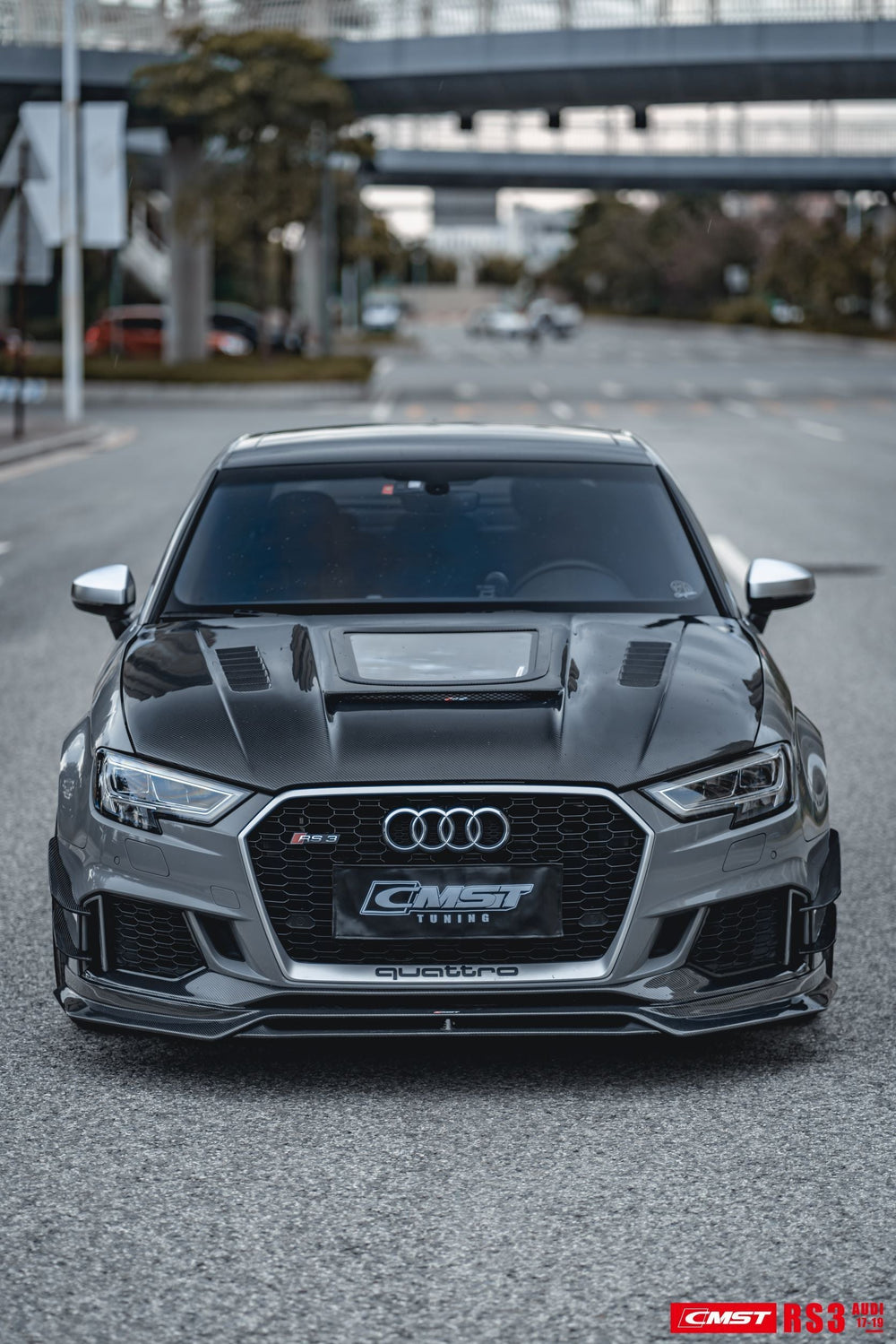 CMST Carbon Fiber Body Kit Package for Audi RS3 2018-2020