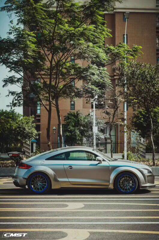 CMST Carbon Fiber Rear Spoiler Wing For Audi TT TTS MK2 8J 2007-2015