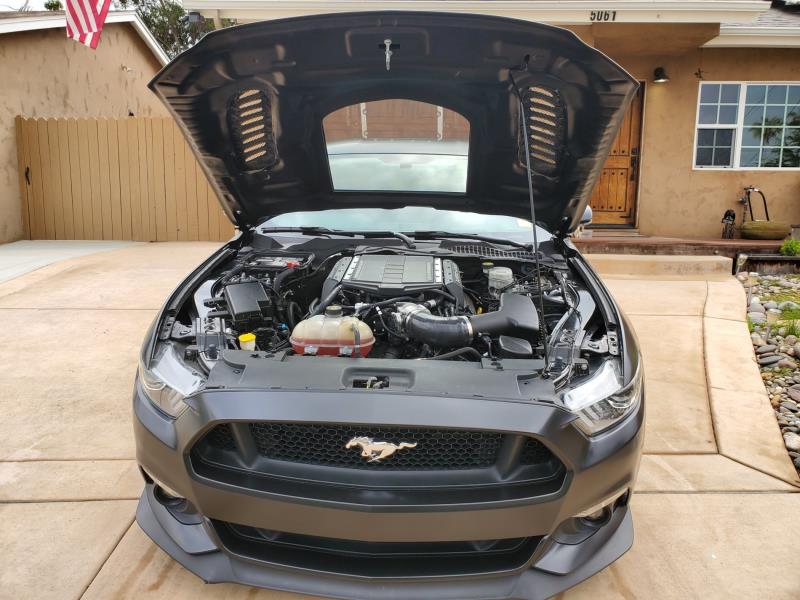 CMST Carbon Fiber Glass Transparent Hood for Ford Mustang S550.1 2015- 2017