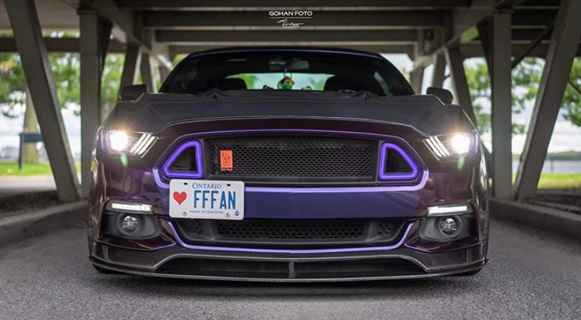 CMST Carbon Fiber Glass Transparent Hood for Ford Mustang S550.1 2015- 2017