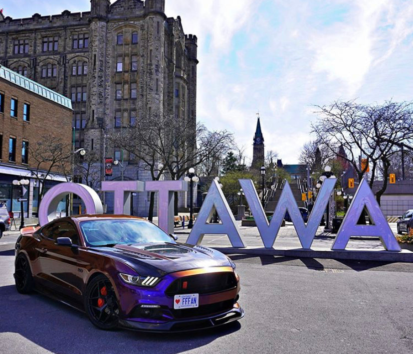 CMST Carbon Fiber Glass Transparent Hood for Ford Mustang S550.1 2015- 2017