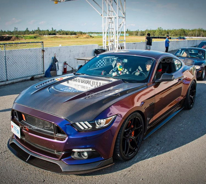 CMST Carbon Fiber Glass Transparent Hood for Ford Mustang S550.1 2015- 2017