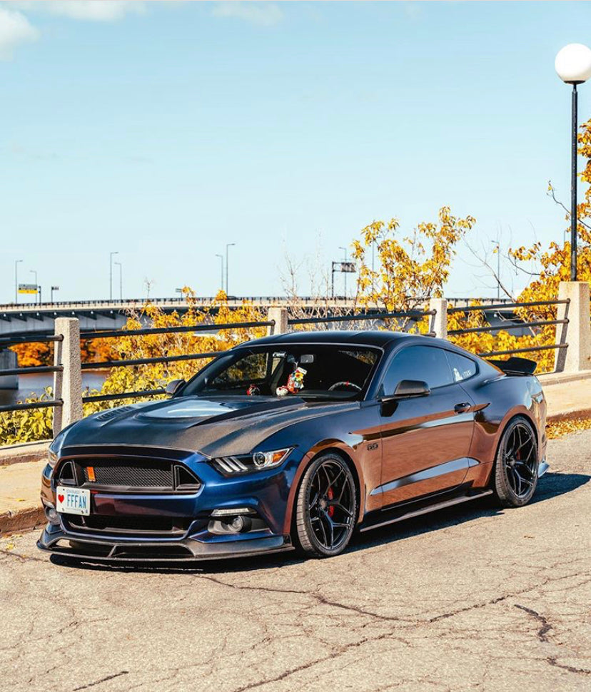 CMST Carbon Fiber Glass Transparent Hood for Ford Mustang S550.1 2015- 2017