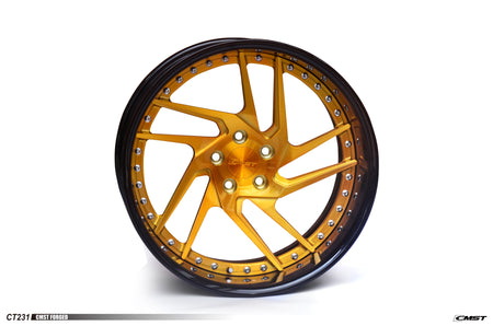 Customizable Forged Wheel CT231