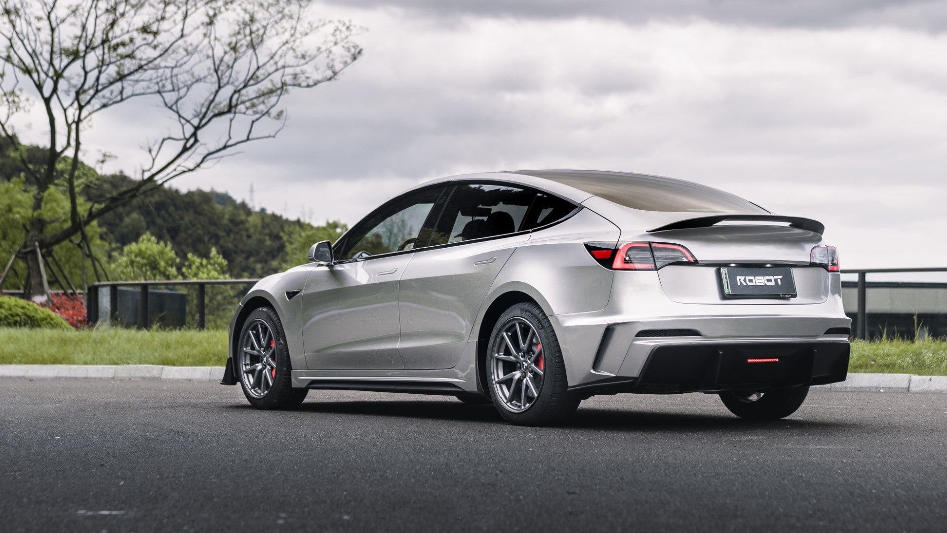Tesla Ricer Robot
