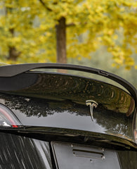 AchenCybe Rear Spoiler - VARI Carbon Fiber - Tesla Model Y