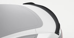 Paktechz Tesla Model 3 Carbon Fiber Body Kit - Rear Spoiler